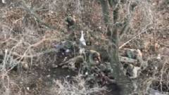 розстріл військовополонених покровськ донеччина