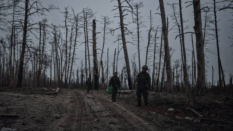 Серебрянський ліс, листопад 2024, військові, війна