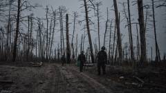 Серебрянський ліс, листопад 2024, військові, війна