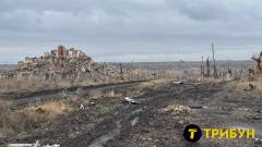 Мар'їнка 2024