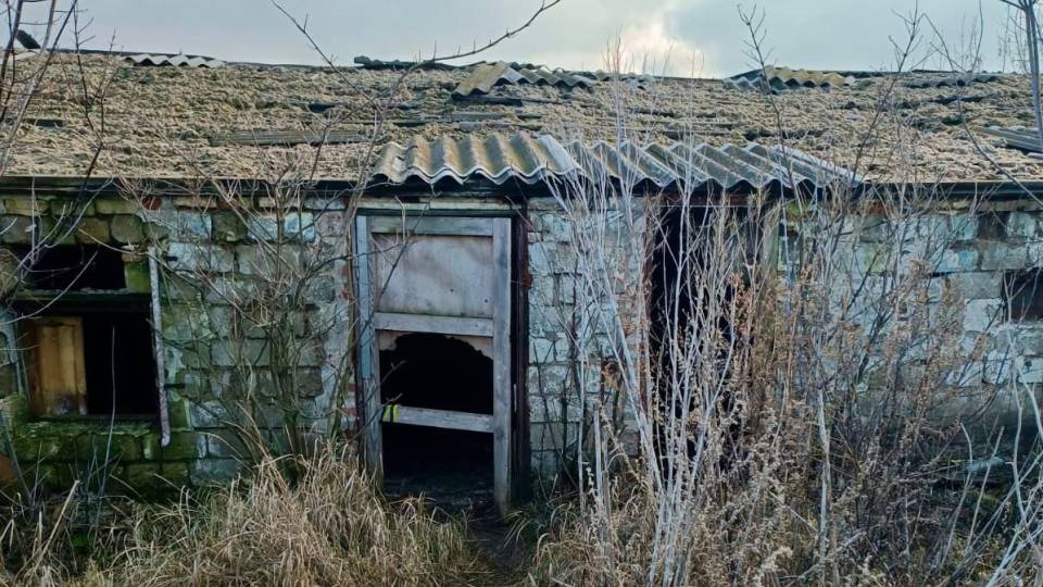 На території покинутої ферми в Ізюмі виявили тіло вбитого чоловіка