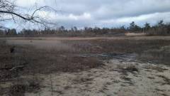 Паркове озеро