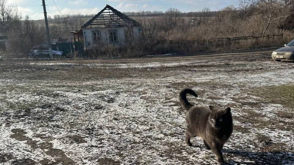 Райгородка Сватівщина Луганщина лютий 2025