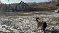 Райгородка Сватівщина Луганщина лютий 2025