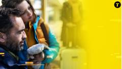 біженці впо переселенці українці за кордоном переїзд валізи дитина