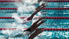 стрибки у воду змагання спорт