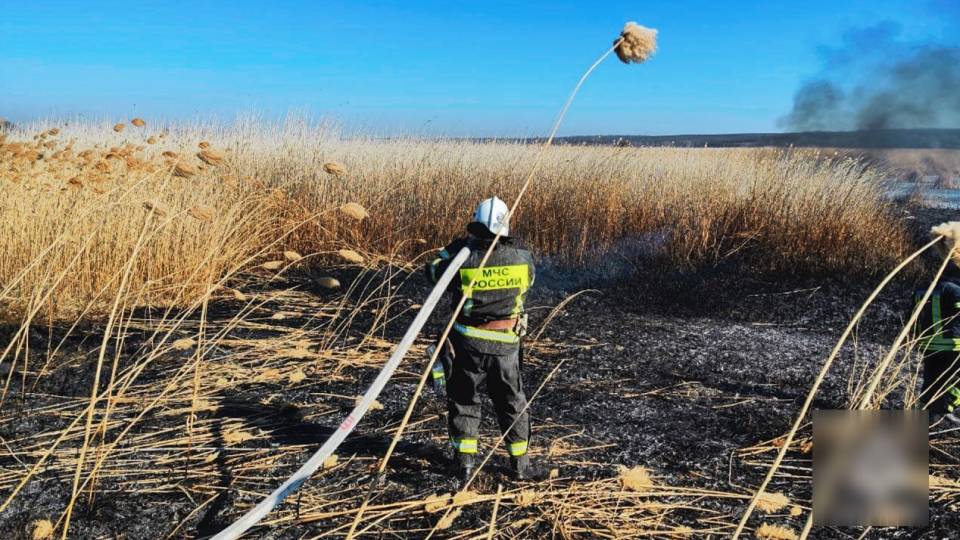 пожежа дим вогонь окупаційне "мчс"