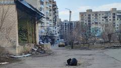 Сірика Вілєсова Сіверськодонецьк