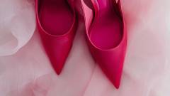 жіночі черевики