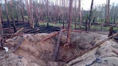 Кремінські ліси