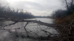 Сіверський Донець