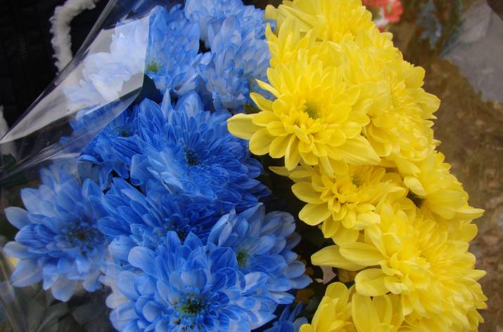 День Достоинства и Свободы