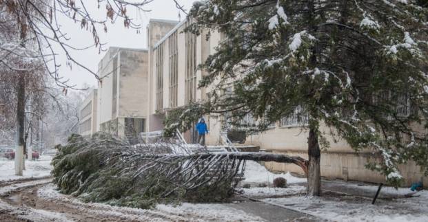 Харьков снегопад