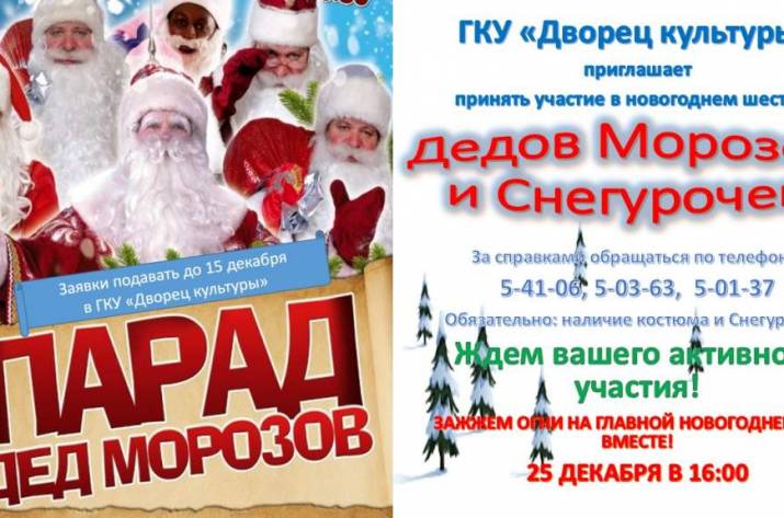 новогодняя елка Рубежное