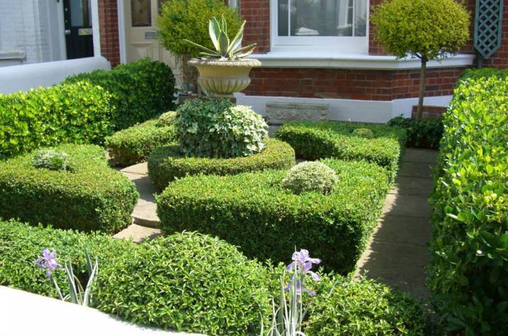 ландшафтный дизайн