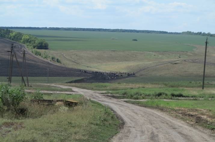 аграрии