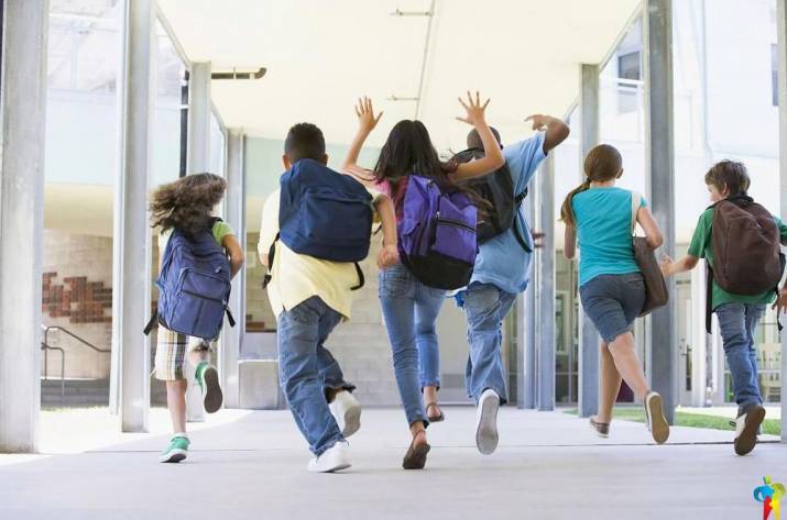 рюкзаки и портфели