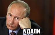 Путин удали