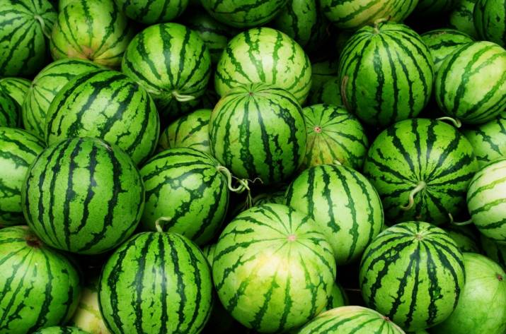 арбузы