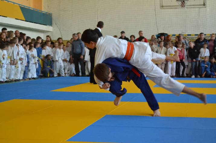 дзюдо_Рубежное