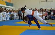 дзюдо_Рубежное