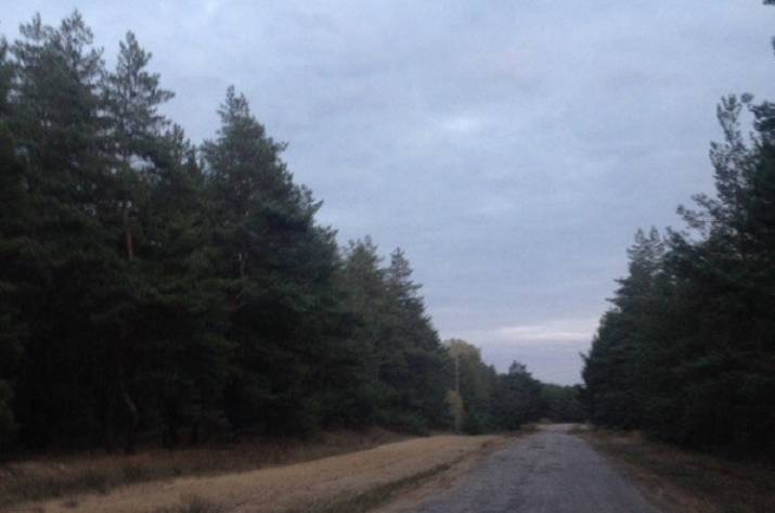 Кременской лес