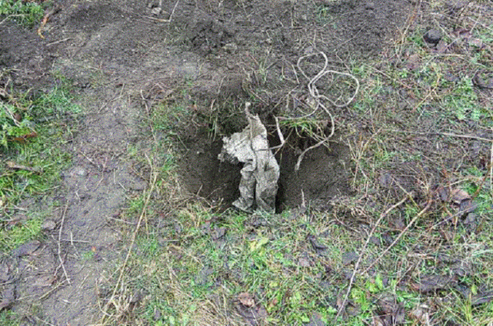 Оружие Тошковка