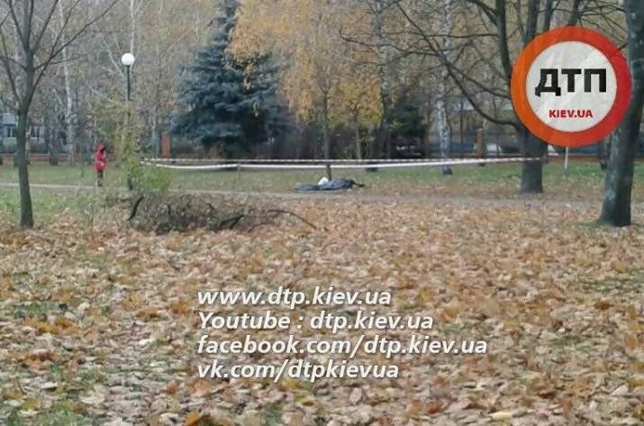 Тело
