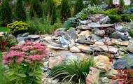 Декоративные камни для сада ландшафтный дизайн
