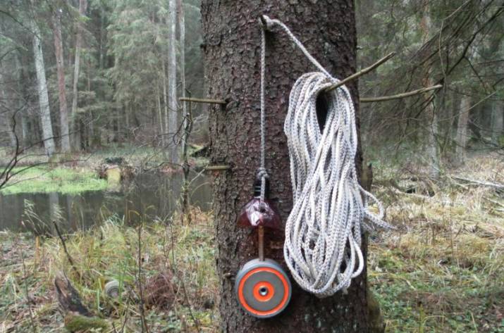 поисковый магнит