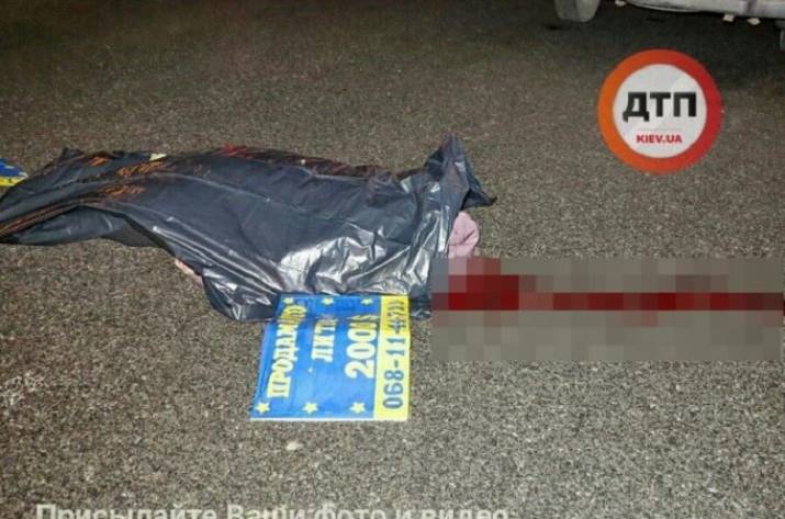 Мост Академика Палладина самоубийство