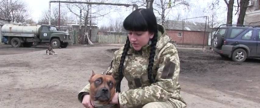 Настя и Альфа