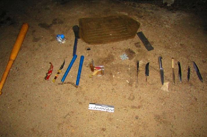 Святошинский ниндзя