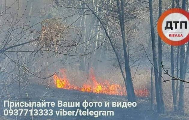 Пожар на Совских прудах