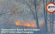 Пожар на Совских прудах